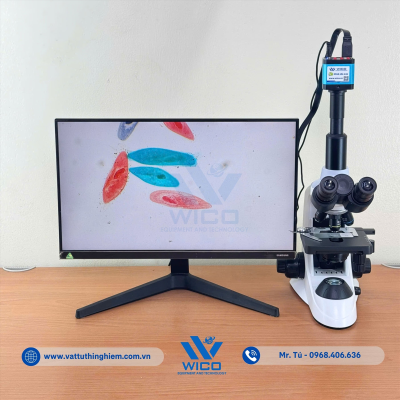 vttn-vuong-icc-1014-trung-co (4).jpg